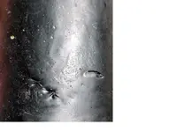 Untitled.webp