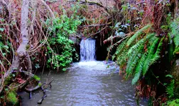 new waterfall 002_InPixio.webp