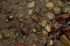 Fuert Site (13).webp