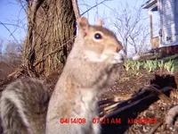 trail 5 089.webp