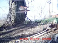 trail 5 099.webp