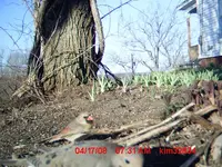 trail 6 006.webp