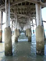 beach 011.webp