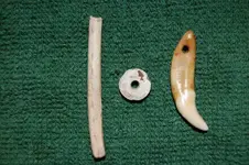 Fuert Site (4).webp