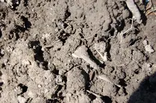 Fuert Site (49).webp