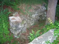 cellar3.webp