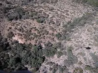 Air View Detector Site.webp