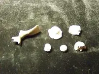 Gun part, and bullets.webp