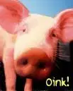 oinkeeeeeeeeeeee.webp