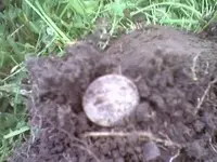 April18-2008dirty1963dime.webp