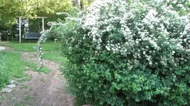 Walkway.webp