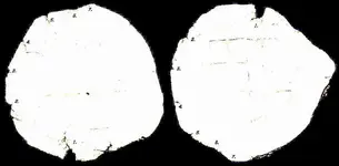 white.webp