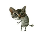 danceboogie_kitty.gif