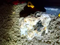 IMG_20191230_020658_3.webp