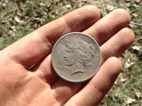 1921 Peace Dollar.webp 1921 Peace Dollar.webp