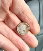 Dime in Hand.webp Dime in Hand.webp