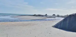beach 1.webp