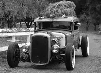 images.webp
