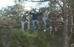 logicfail1.gif