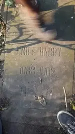 84559658_2588913564554670_5367077994500194304_n.webp