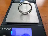 1st palladium 7.3 gr.webp
