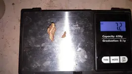 nug weight.webp