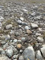 IMG_20200208_144845524.webp