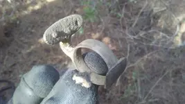 0122201212.webp