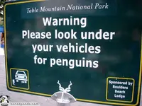 Funny-Signs-Penguins-50.webp