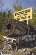 Funny-Signs-Unexpected-56.webp