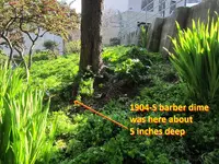 Finds 2-1-20 003.webp