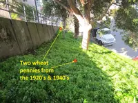 Finds 2-1-20 004.webp