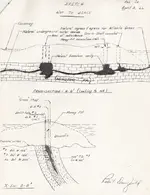Dumfield Oak Island4.webp