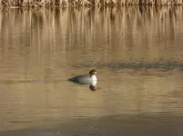 P1120725.webp