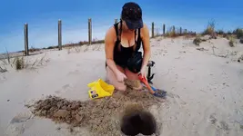 Beach AT PRO Carrot.webp
