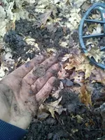 IMG_20200226_172009156.webp