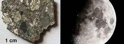 Lunar-meteorite-water-mineral.webp