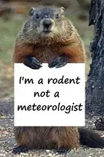 groundhog.webp