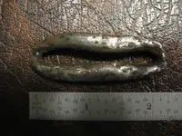 Iron Link (back) after cleaning.webp