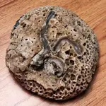 IMG_3845.webp