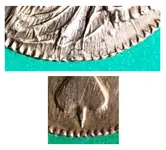 Shrinkage.webp