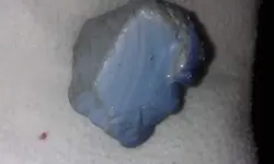 received_2493427720876179.webp