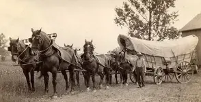 1-2-119-25-ExplorePAHistory-a0a5x3-a_349.webp