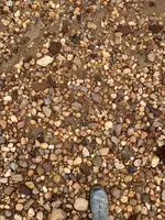 ImageUploadedByTreasureNet.com1579907025.462220.webp ImageUploadedByTreasureNet.com1579907025.462220.webp