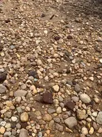 ImageUploadedByTreasureNet.com1579907144.631996.webp ImageUploadedByTreasureNet.com1579907144.631996.webp