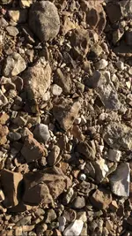 2020.02.22 - in situ.webp