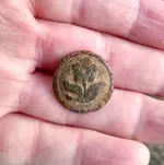 Button front.webp