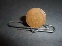 clip back.webp