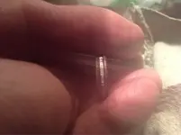 ImageUploadedByTreasureNet.com1580754932.767238.webp