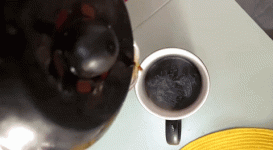 giphy6.gif